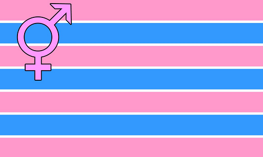 Transsexual Pride Flag